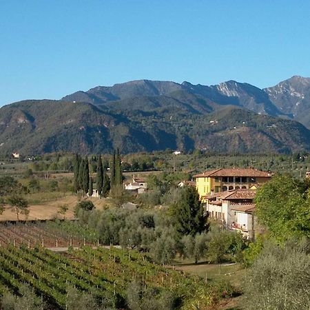 B&B Il Nido Raffa Bagian luar foto